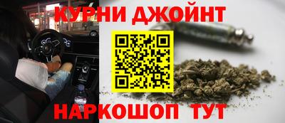 прущие грибы Усть-Илимск