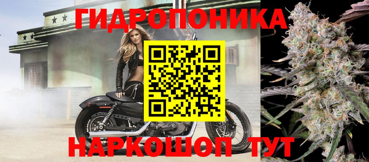 Борисоглебск  Бошки марихуана AK-47  Вход с VPN  Канабис марихуана  Канабис планчик 